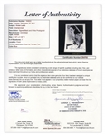 Vivien Leigh Signed Photo as Scarlett From ''Gone With the Wind'' -- With JSA COA